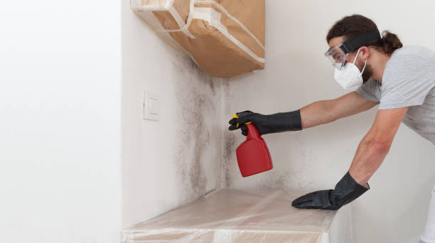 Professional Mold Remediation technician working in Zebulon, NC
