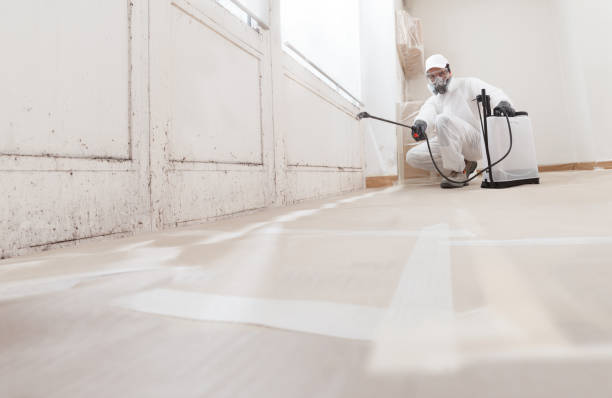 24/7 Emergency Mold Remediation experts in Zebulon, NC